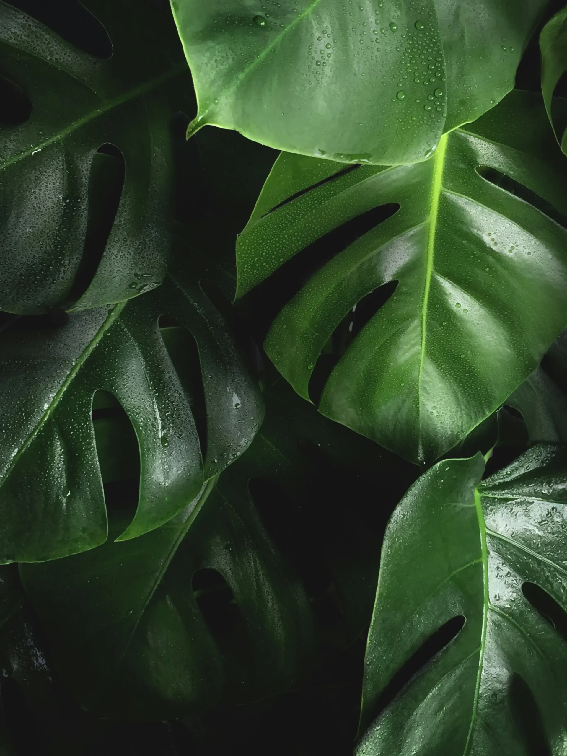 bart-zimny-W5XTTLpk1-I-unsplash (1)